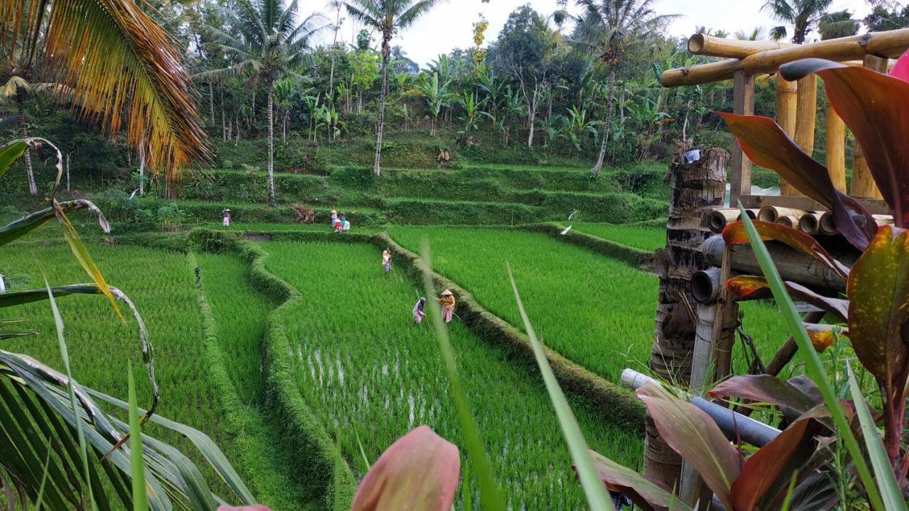 テテバトゥBale Kembang Kuningアパートメント エクステリア 写真